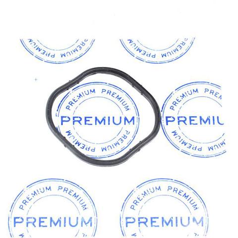 Прокладка впускного коллектора premium PR1813