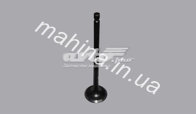 SMD303177 CHERY Выпускной клапан купить в Ужгород