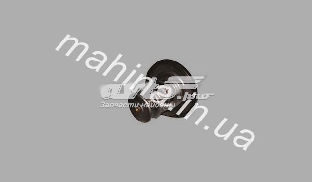 SMD315301 CHERY Термостат купить в Ровно