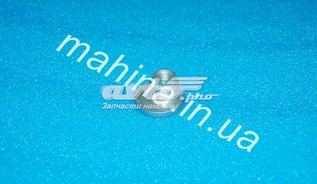 T112919031 CHERY Гайка заднего нижнего рычага эксценрическая (развала) купить в Каменское