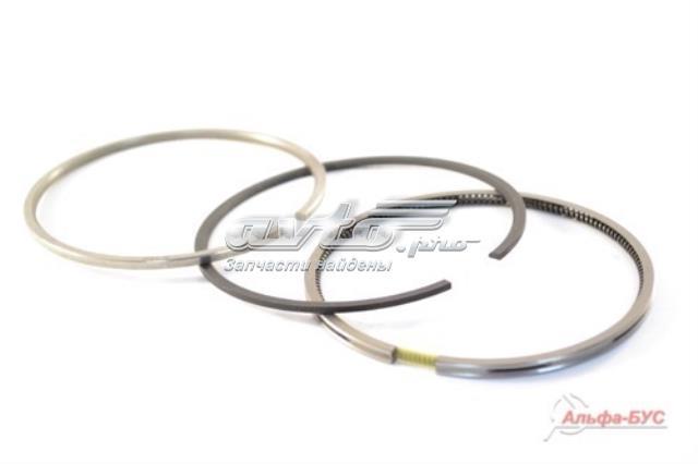 MAHLE 00249N0 Комплект поршневых колец на 1 цилиндр, стандарт в наличии Хмельницкий