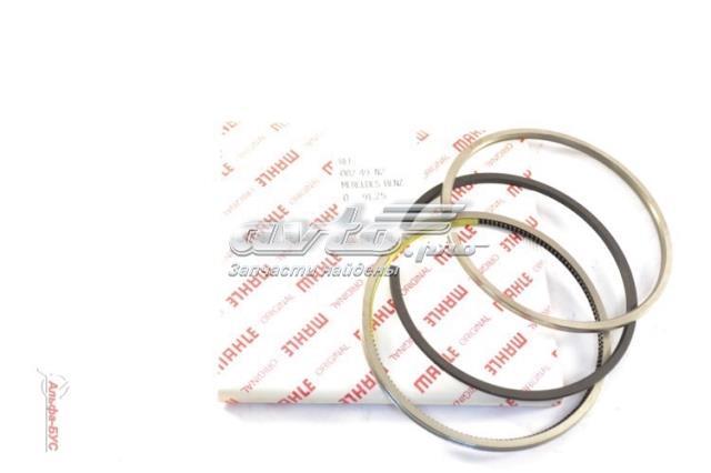 00249N2 MAHLE Кольца поршневые на 1 цилиндр, 1-й ремонт (+0,25) купить в Кривой Рог