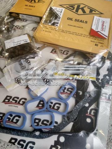 BSG BSG30115004 Комплект прокладок двигателя полный в наличии Харьков
