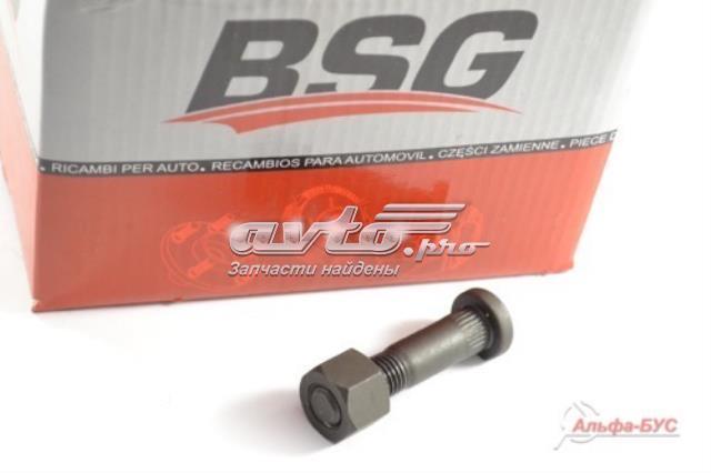 BSG BSG30230010 Шпилька колесная задняя в наличии Кривой Рог