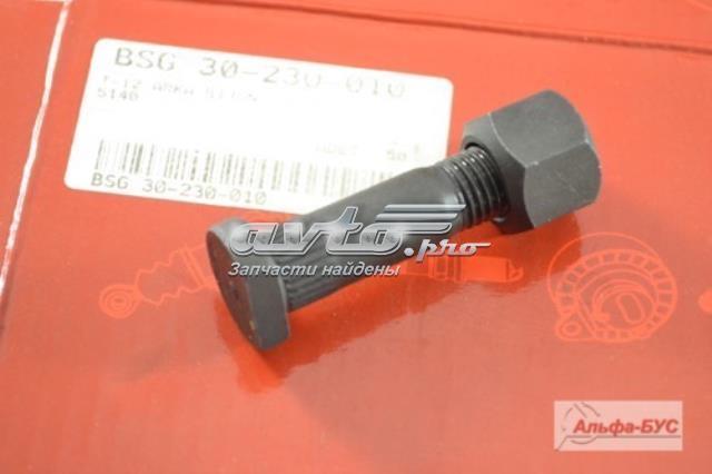 BSG BSG30230010 Шпилька колесная задняя в наличии Львов