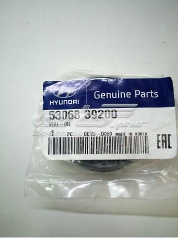 Hyundai kia 5306839200