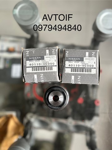 40110VC000 NISSAN Сайлентблок задней реактивной тяги  купить в Сумы