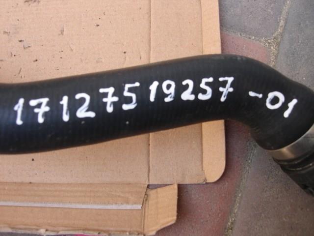 17127519257 Шланг (патрубок) радиатора охлаждения нижний купить Павлоград