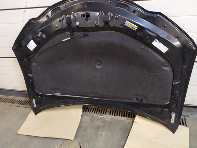 5330176901 TOYOTA Капот купить в Украина