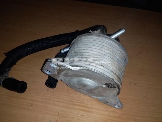216061XJ0B NISSAN купить в Хмельницкий