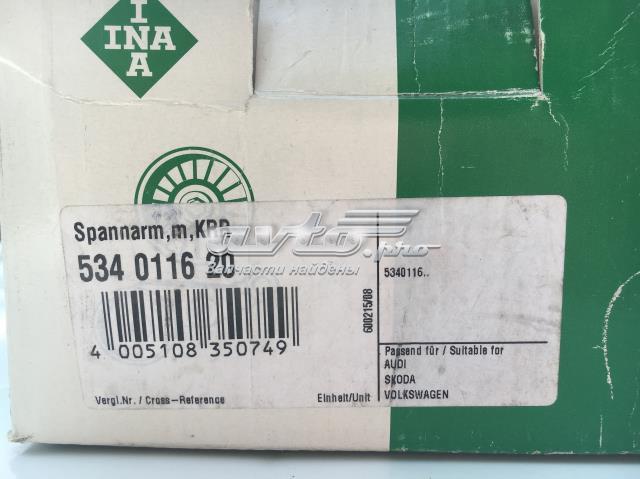 INA 534011620 Натяжитель приводного ремня в наличии Тернополь