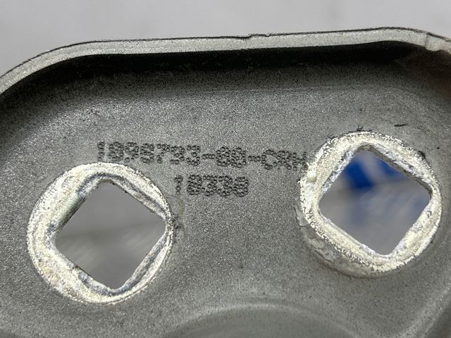 Петля капота, правая 109879300D TESLA