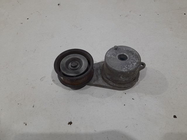 119551EA0D NISSAN Натяжитель приводного ремня купить в Полтава