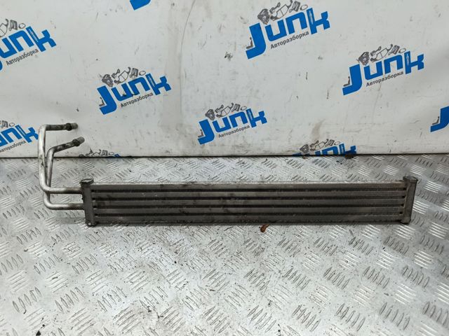 17117576825 BMW Радиатор ГУР купить в Кривой Рог