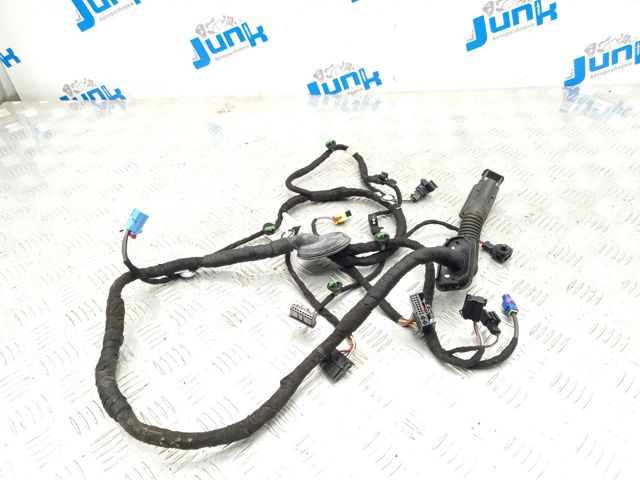 Электропроводка передней двери 3CN971121BJ VAG
