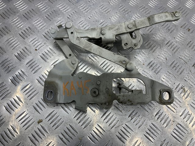 BMW 41617291702 Петля капота правая в наличии Ужгород