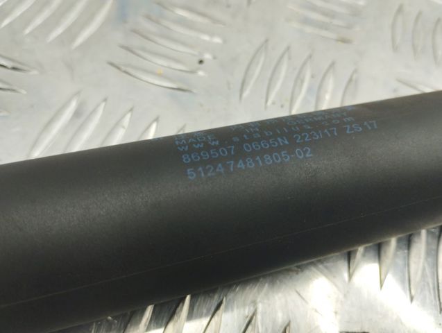 Амортизатор задней двери 51217481805 BMW