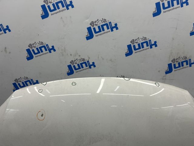VAG 5N0823031D Капот в наличии Запорожье