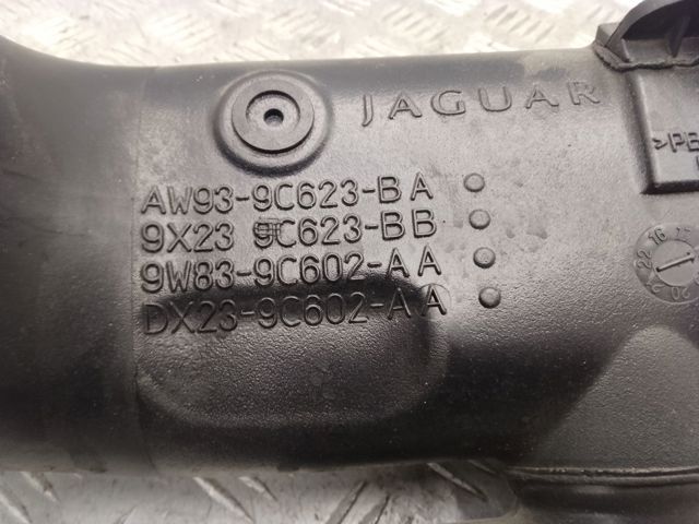 C2Z21611 JAGUAR купить в Черновцы