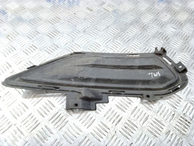 Заглушка противотуманок, левая DS7Z17B814AB FORD