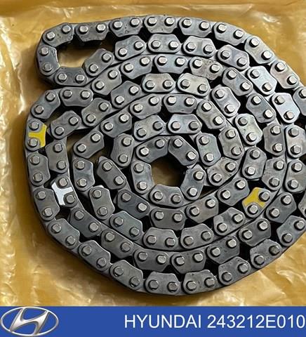 243212E010 Цепь ГРМ купить Павлоград