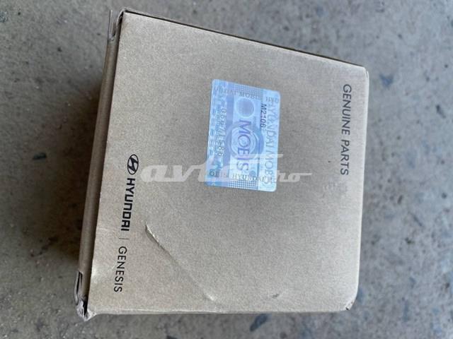 244102G810 Натяжитель цепи ГРМ купить Львов