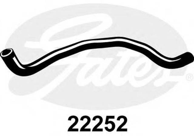 GATES 22252 Шланг (патрубок) радиатора охлаждения нижний в наличии Ирпень