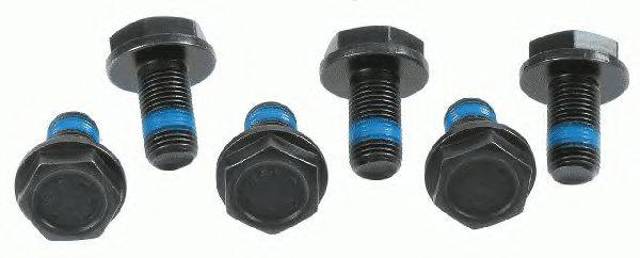SACHS 3096005000 Болт крепления маховика в наличии Черновцы