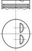 Поршень в комплекте на 1 цилиндр, STD 8710270010 NURAL