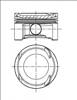 Поршень в сборе 8714130020 NURAL