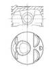 Поршень в комплекте на 1 цилиндр, STD 8743510000 NURAL