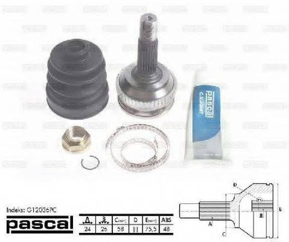 Граната колесная G12036PC PASCAL