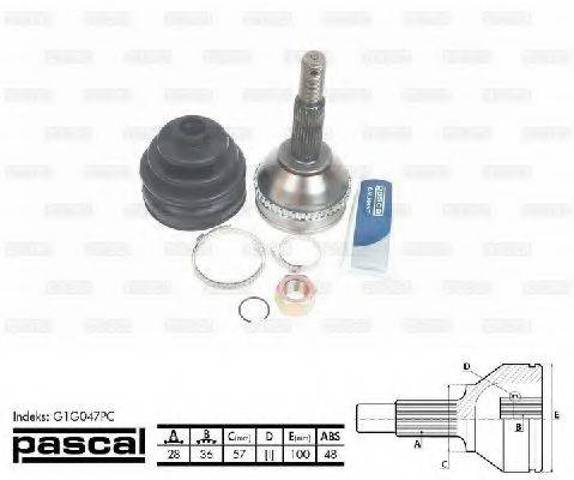 Граната колесная G1G047PC PASCAL