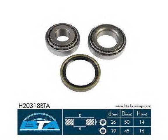 BTA H20318BTA Подшипник задней ступицы в наличии Павлоград