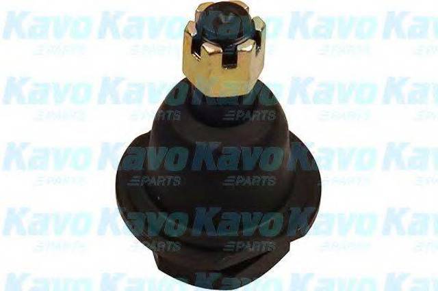 SBJ6501 KAVO PARTS Шаровая опора нижняя купить в Львов