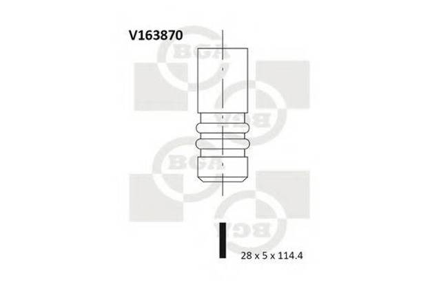 BGA V163870 Клапан впускной в наличии Каменское