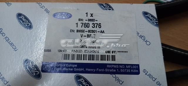 FORD 1760376 Ремень агрегатов приводной в наличии Павлоград