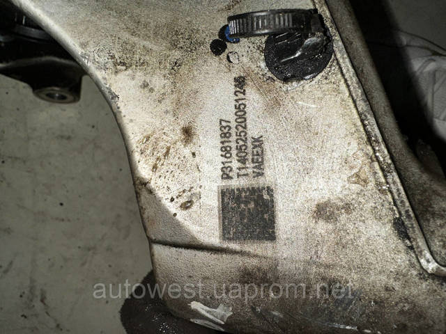 Цапфа поворотная левая 31681837 VOLVO