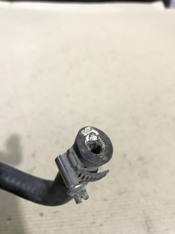 11531717590 Шланг (патрубок) радиатора охлаждения верхний купить Полтава