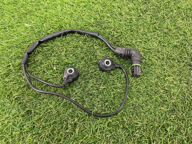 13627568421 Датчик детонации купить Кривой Рог