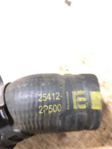 HYUNDAI 254122P500 Шланг (патрубок) радиатора охлаждения нижний в наличии Житомир