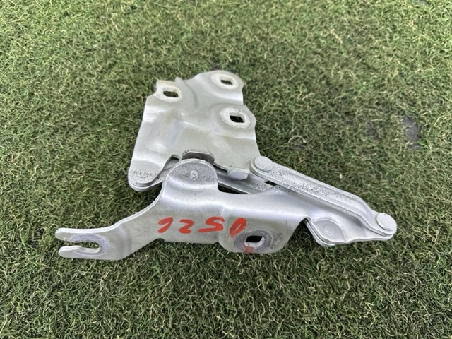 BMW 41617262876 Петля капота правая в наличии Ирпень