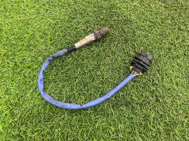 GM 55572993 в наличии Львов