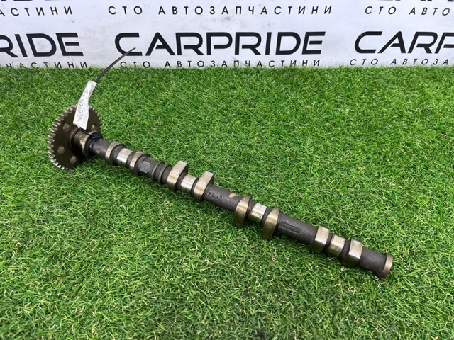 CT1Z6250B купить Киев