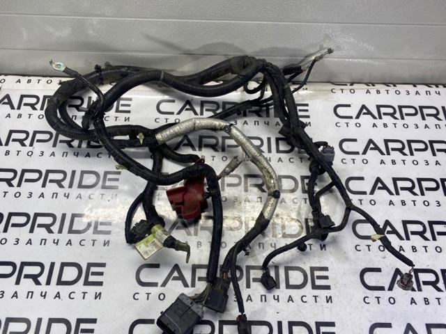 DG9Z14300D FORD купить в Хмельницкий