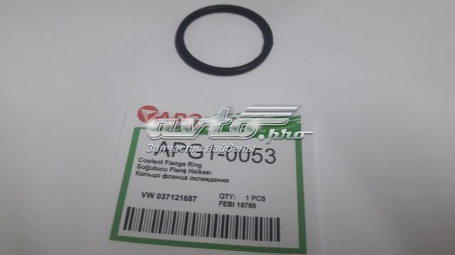Уплотнительное кольцо APG10053