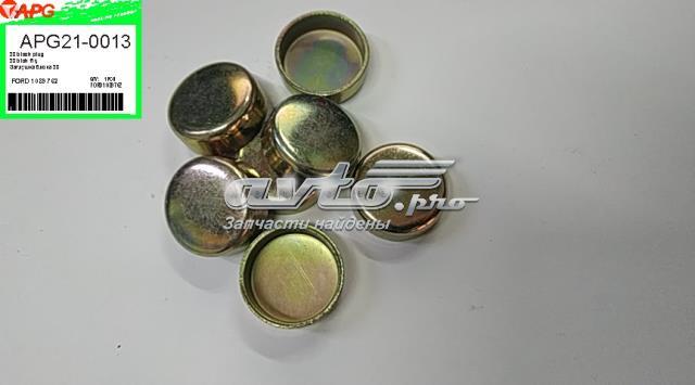 APG210013 APG