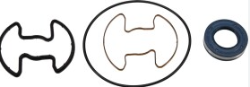Ремкомплект насоса гидроусилителя руля AU8001KIT MS GROUP
