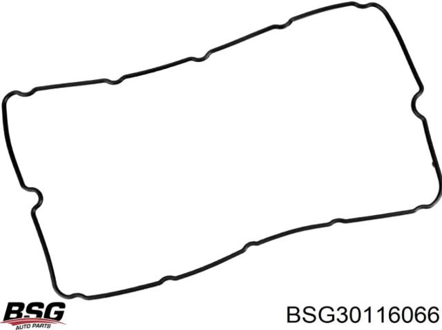 Клапанная прокладка BSG30116066 BSG