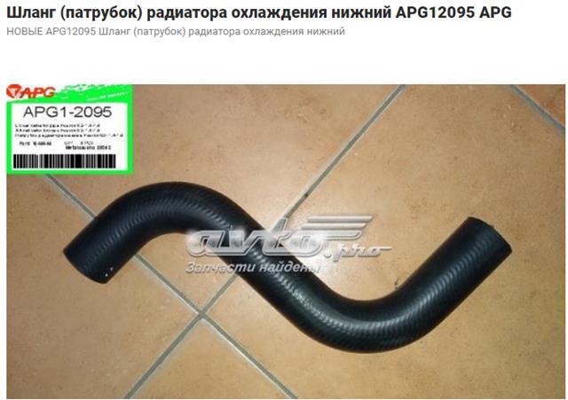 Шланг радиатора охлаждения нижний CS7584 DP GROUP